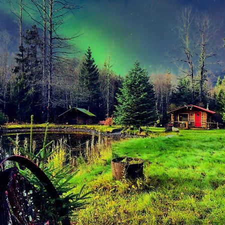 Hope Alaska'S Bear Creek Lodge Extérieur photo